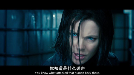 欧美一级特黄大片做受在线播:07-16-26-35-36-41T：05,欧美一级特黄大片，在线播放的视听盛宴与多元文化的交融