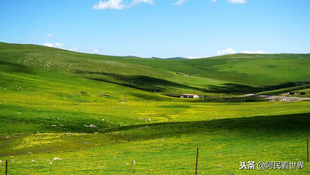 青青青青国产免费线在线观看:02-03-06-08-20-23D：09,青青青青国产影视的魅力与免费在线观看的机遇，一场视觉盛宴的探寻之旅