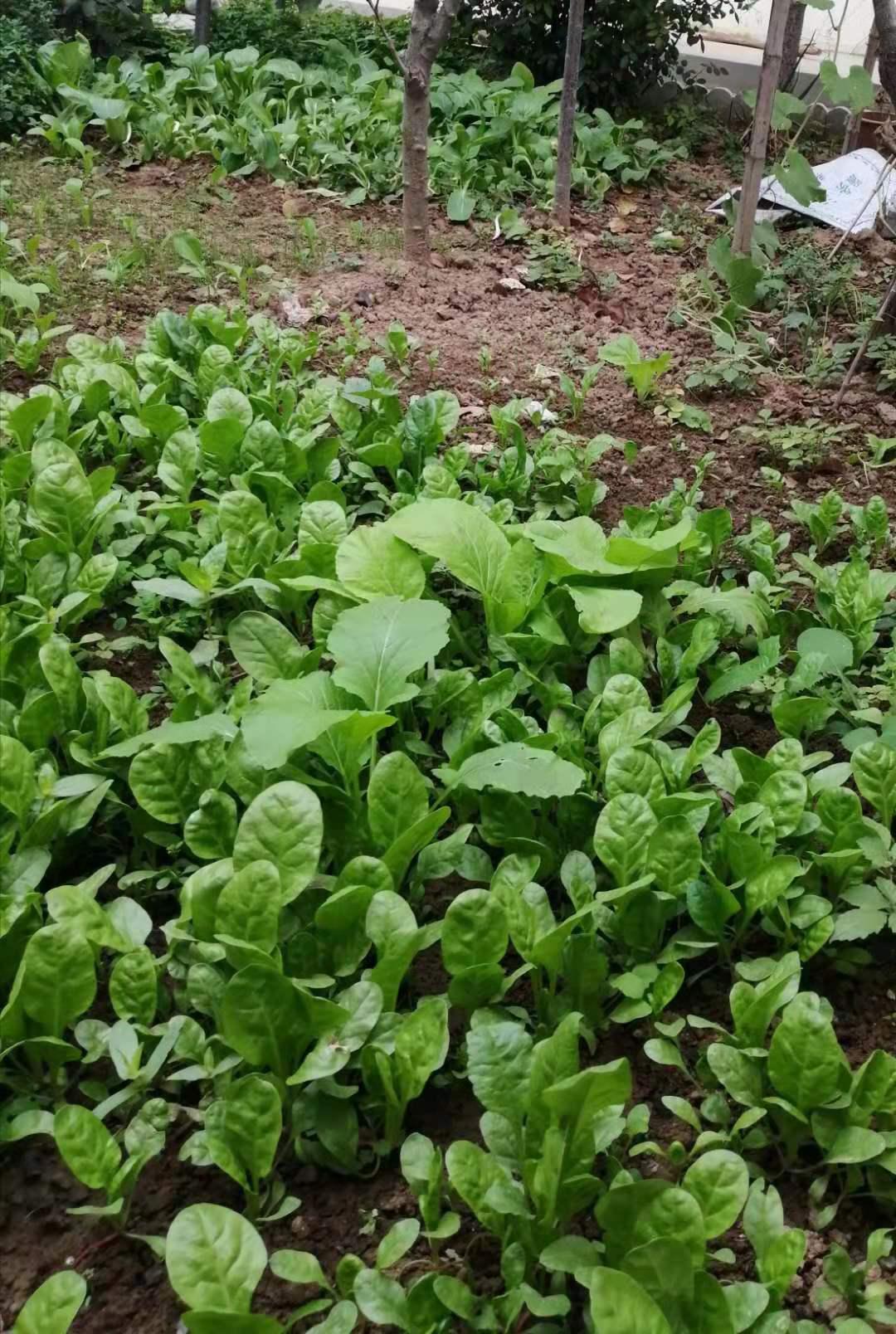 青青青青国产免费线在线观看:02-03-06-08-20-23D：09,青青青青国产影视的魅力与免费在线观看的机遇，一场视觉盛宴的探寻之旅