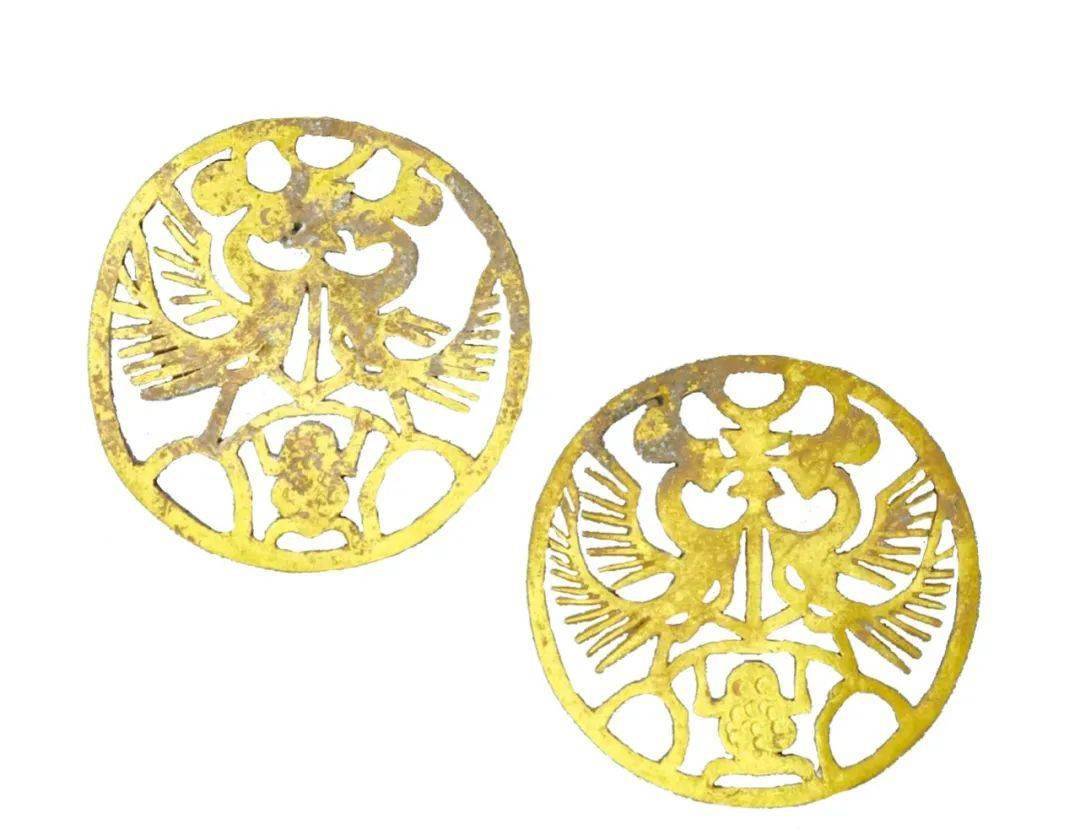 欧美人与动牲交片免费:03-06-12-20-21-44S：16,欧美人与动物交片，探索文化背后的多元视角与复杂议题（文章正文）