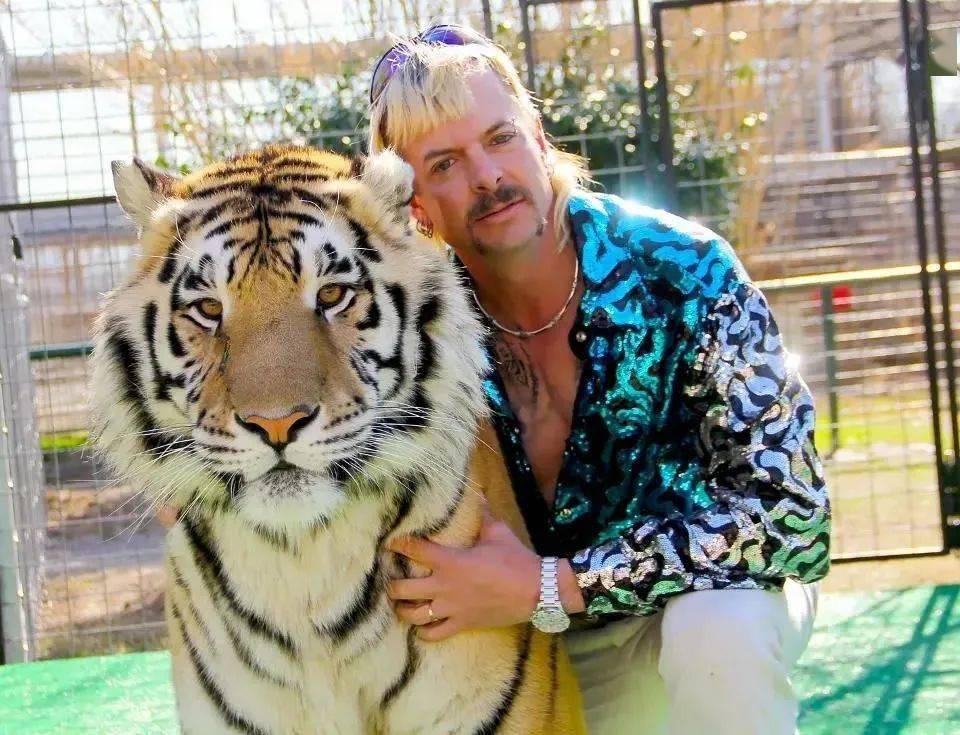 欧美人与动牲交片免费:03-06-12-20-21-44S：16,欧美人与动物交片，探索文化背后的多元视角与复杂议题（文章正文）