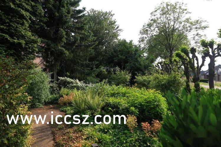 国产极品白嫩精品:04-06-29-35-40-42D：22,国产极品白嫩精品，探索中国制造的独特魅力与品质飞跃