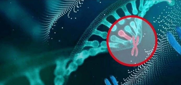 亚洲精品成A人在线观看:10-15-19-25-36-49Z：07,亚洲精品成A人在线观看，探索数字时代的文化交融与娱乐新境界