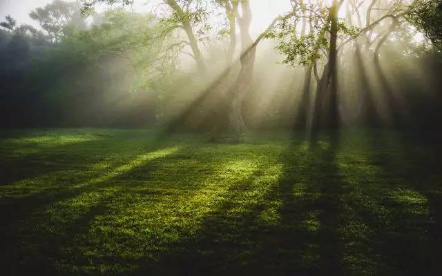 久久国产乱子伦免费精品:10-23-26-43-45-48F：19,久久国产乱子伦系列，探索精品文化的深度与广度