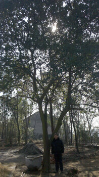 久久国产乱子伦免费精品:10-23-26-43-45-48F：19,久久国产乱子伦系列，探索精品文化的深度与广度