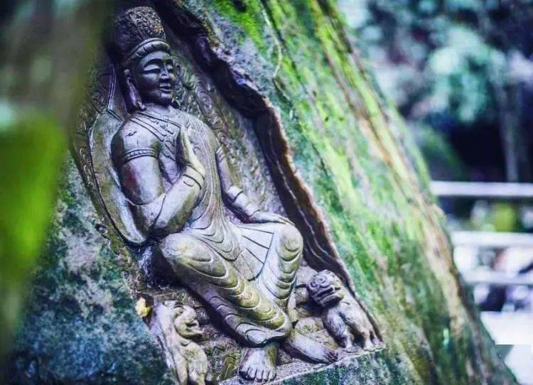 99r精品视频只有精品高清6:06-24-25-37-46-49Z：09,探索精品视频，高清画质与内容的完美结合——以特定视频为例