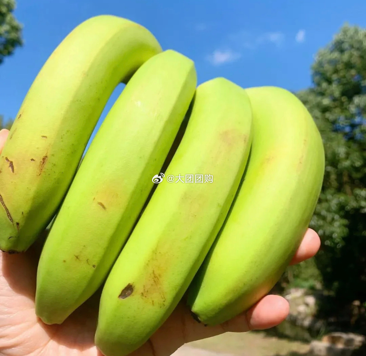 久久婷婷五月综合色国产香蕉:03-04-08-09-13-35M:39,久久婷婷与五月综合色国产香蕉,一场独特的探索之旅 久久婷婷五月综合色国产香蕉:03-04-08-09-13-35M:39,久久婷婷与五月综合色国产香蕉,一场独特的探索之旅