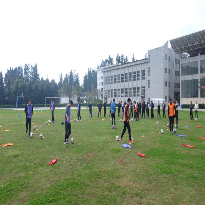 三级理论中文字幕在线播放:03-13-18-22-27-31X：40,三级理论中文字幕在线播放，探索数字时代的影视新体验