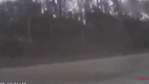 久久精品无码中文字幕老司机:06-15-17-24-28-41G：32,久久精品无码中文字幕老司机，探索优质内容的深度之旅