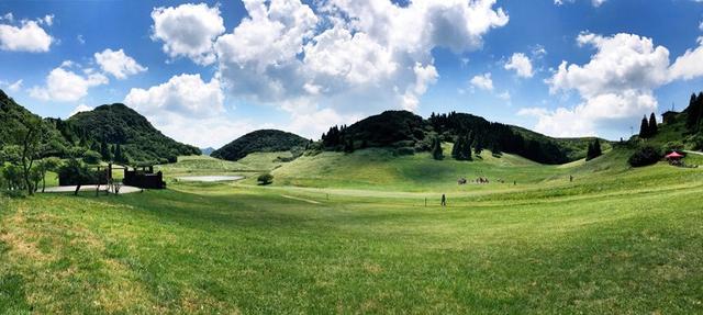 青青草国产免费一二区:12-14-26-28-39-49Y：21,青青草国产影视资源，探索一二区免费内容及其深层意义（12-14-26-28-39-49Y）