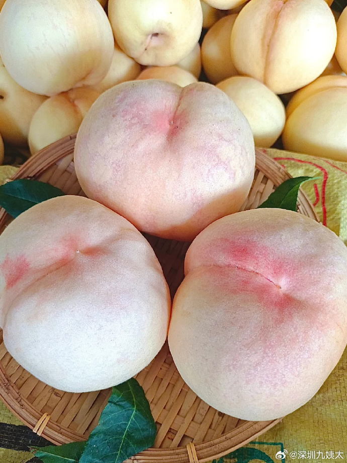 久久精品久久久久观看99水蜜桃:16-19-31-38-46-48Q：16,久久精品，探索水蜜桃的魅力与独特体验