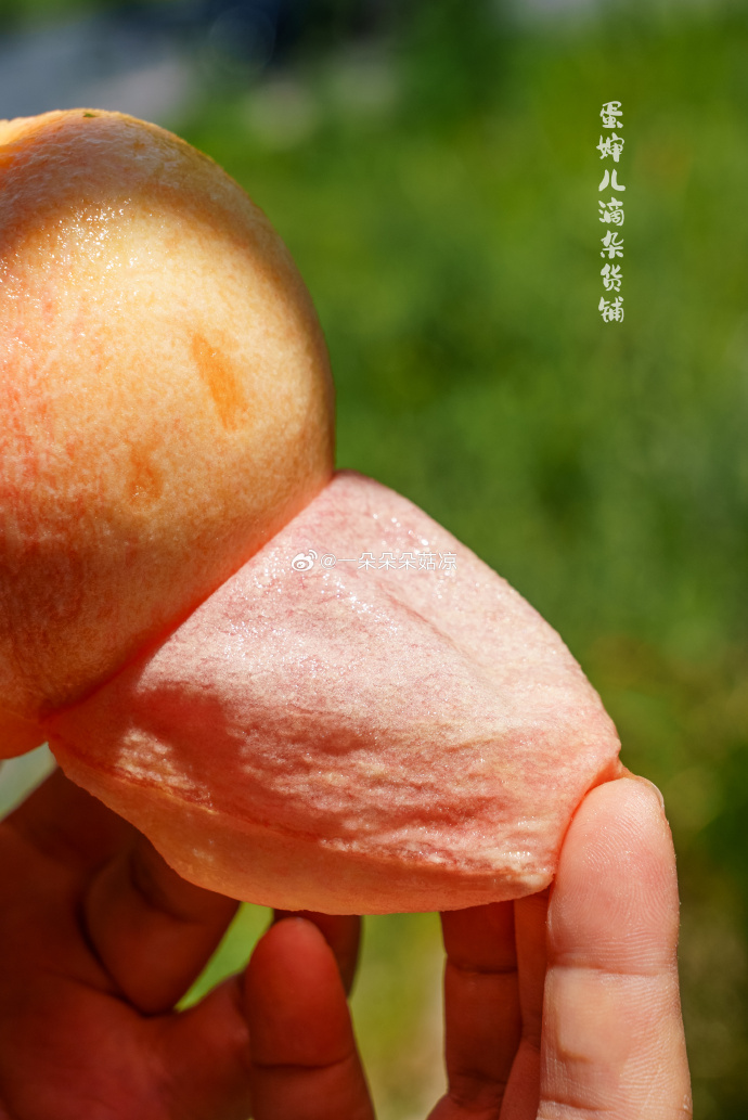 久久精品久久久久观看99水蜜桃:16-19-31-38-46-48Q：16,久久精品，探索水蜜桃的魅力与独特体验