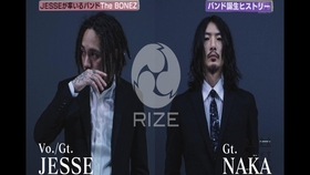 特黄A级毛片:05-16-23-37-44-45P：37,特黄A级毛片，探索数字背后的故事与争议