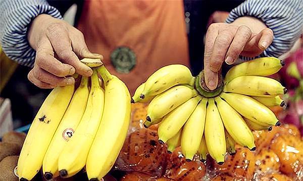 97精品伊人久久久大香线蕉:05-09-10-16-22-31W：23,探索数字背后的秘密，关于伊人久久久大香线蕉的深层解读与探索