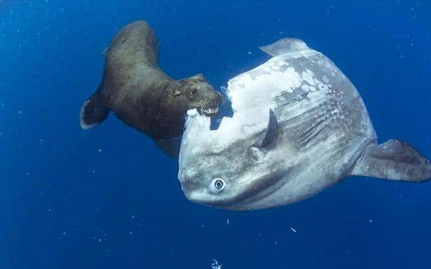 人人做人人爽人人爱:02-24-37-40-45-49T：41,人人做人人爽人人爱，探索一种全新的生活理念与和谐社会的构建