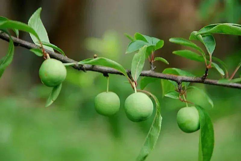 色欲色香天天天综合无码:05-16-22-25-36-47C：32,探索色欲色香的世界，综合无码的艺术与探索