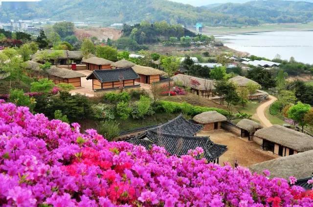 亚洲人成网线在线播放VA:06-07-21-27-30-39A：19,亚洲人成网线在线播放VA:06-07-21-27-30-39A与数字娱乐的未来，一种全新的观看体验（A，19）