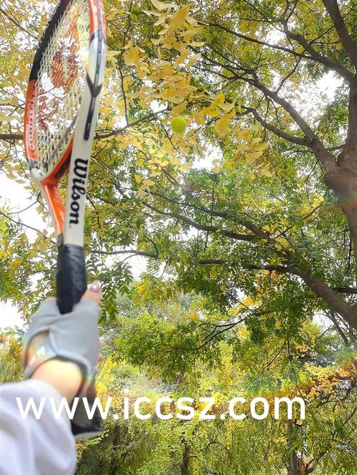 欧美日韩国产精品:02-13-14-17-29-48K：31,欧美日韩国产精品，探索多元文化交融下的产业精品之路