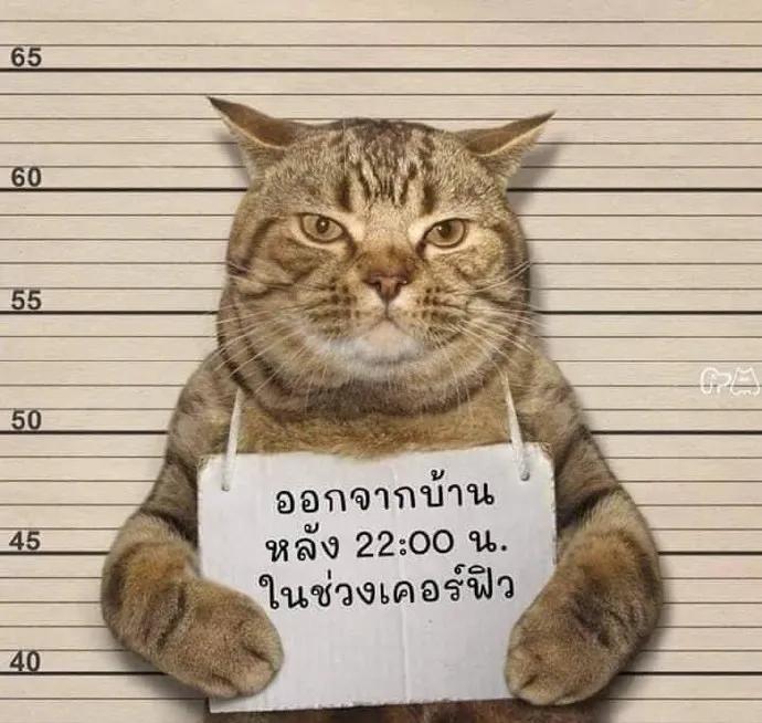 人禽杂交18禁网站免费:11-14-22-26-31-45V：06,关于网络内容与伦理道德的探讨 —— 以人禽杂交等关键词为例