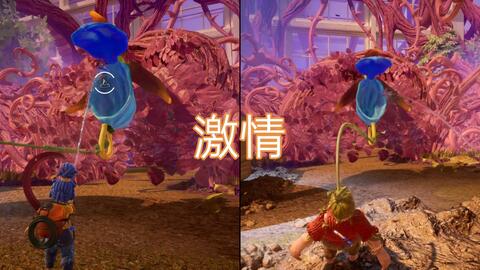 亚洲区小说区激情区图片区:11-18-19-27-28-31M：29,探索数字时代的文化迷宫，亚洲小说区、激情区与图片区的奇幻之旅