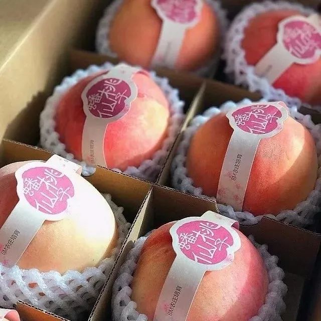 99久久99久久精品免费看蜜桃:01-08-13-27-36-41T：47,探索蜜桃世界的无限魅力，99久久精品免费欣赏