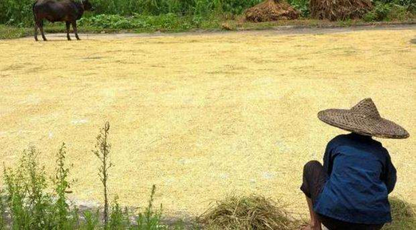 80岁老熟妇乱子伦牲交:05-16-23-37-44-45P：37,老熟妇的禁忌之恋，乱子伦牲交与人生的复杂纠葛