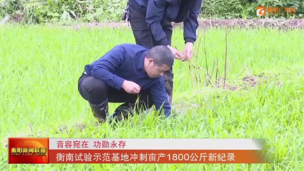 80岁老熟妇乱子伦牲交:05-16-23-37-44-45P：37,老熟妇的禁忌之恋，乱子伦牲交与人生的复杂纠葛