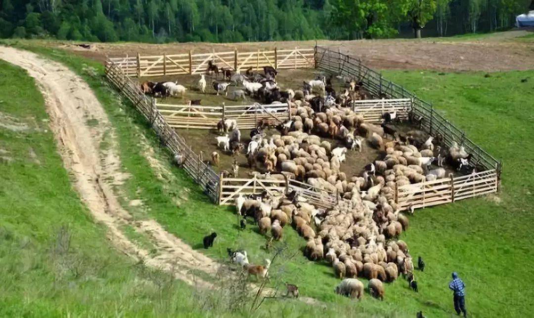 国产三级精品三级在线专1 :14-19-27-31-38-47J：25,国产三级精品深度解析，在线专区的魅力与未来趋势