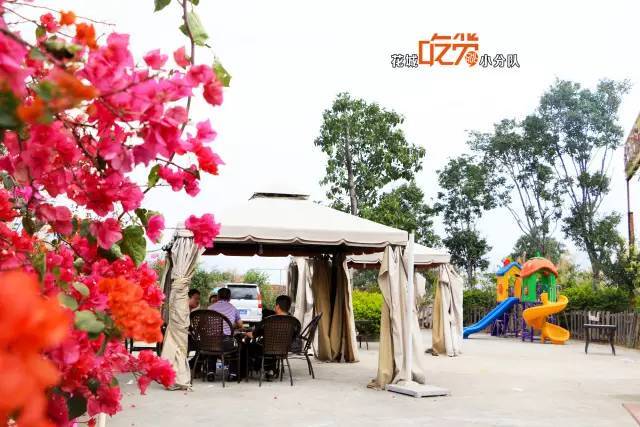 欧美成人一区二区三区在线视频:05-10-18-19-31-38P：02,欧美成人一区二区三区在线视频，探索与赏析