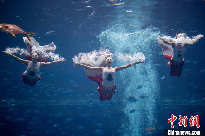 亚洲精品国产精品乱码在线观看:01-04-05-11-26-31D：09,探索亚洲精品，在线观看的魅力与挑战