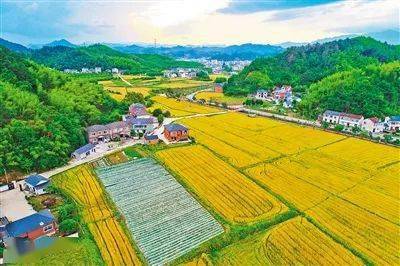 性色AV一区二区三区:11-14-22-26-31-45V：06,色情内容是不合法的，违反我国相关的法律法规。我们应该遵守法律和道德准则，远离色情内容。如果您有其他有益身心的娱乐需求，可以寻找一些正规的平台或文化活动，例如观看电影、参加体育运动，以丰富您的生活。