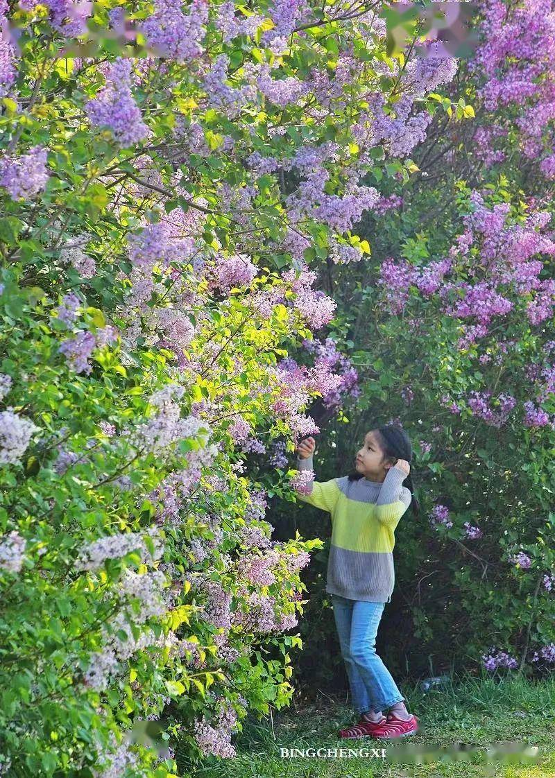 激情综合色五月丁香六月亚洲:14-19-21-35-40-43R：45,激情综合色，五月丁香与六月亚洲的独特魅力（14-45岁月人群必看）