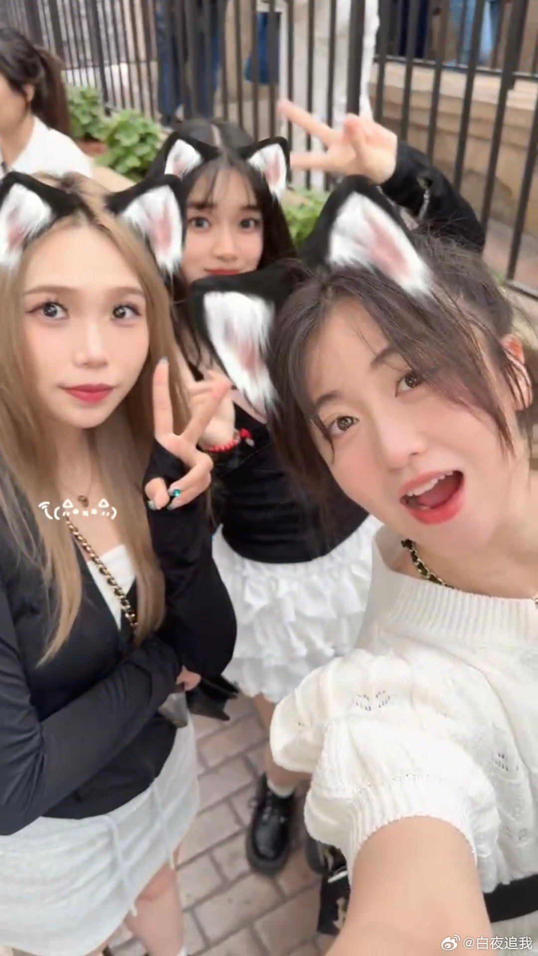 97SE狠狠狠狠狼亚洲综合网:07-12-20-28-34-37Y：41,探索97SE狠狠狠狠狼亚洲综合网，一场数字与网络的神秘之旅