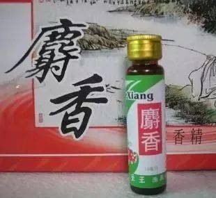 伊人久久大香线蕉综合99:06-13-23-37-40-45M：40,伊人久久大香线蕉综合，探索与赏析