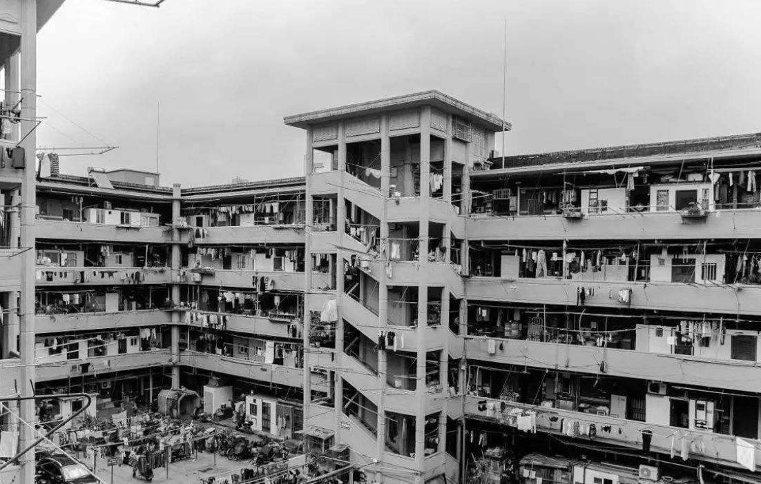 福利区观看在线视频:03-23-29-30-37-46F：39,福利区观看在线视频的独特体验，探索神秘的代码之旅 03-23-29-30-37-46F与独特的39体验