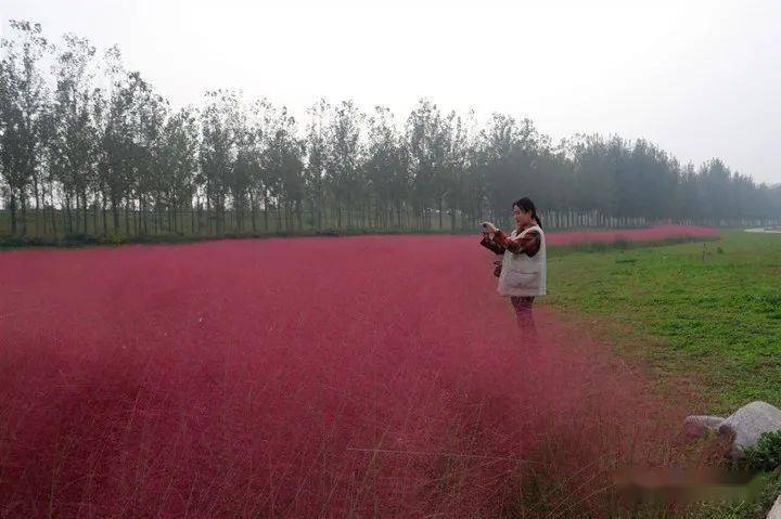 国产乱子伦视频大全:01-08-11-13-26-31T：04,国产乱子伦视频集锦，探索中国影视文化的多元魅力（01-08-11-13-26-31T，04）