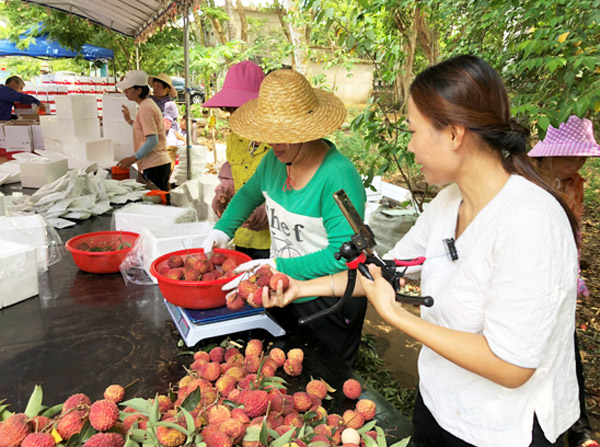 日本高清在线天码一区播放:02-11-22-44-45-48S：41,日本高清在线天码一区播放，探索日本影视文化的魅力时光