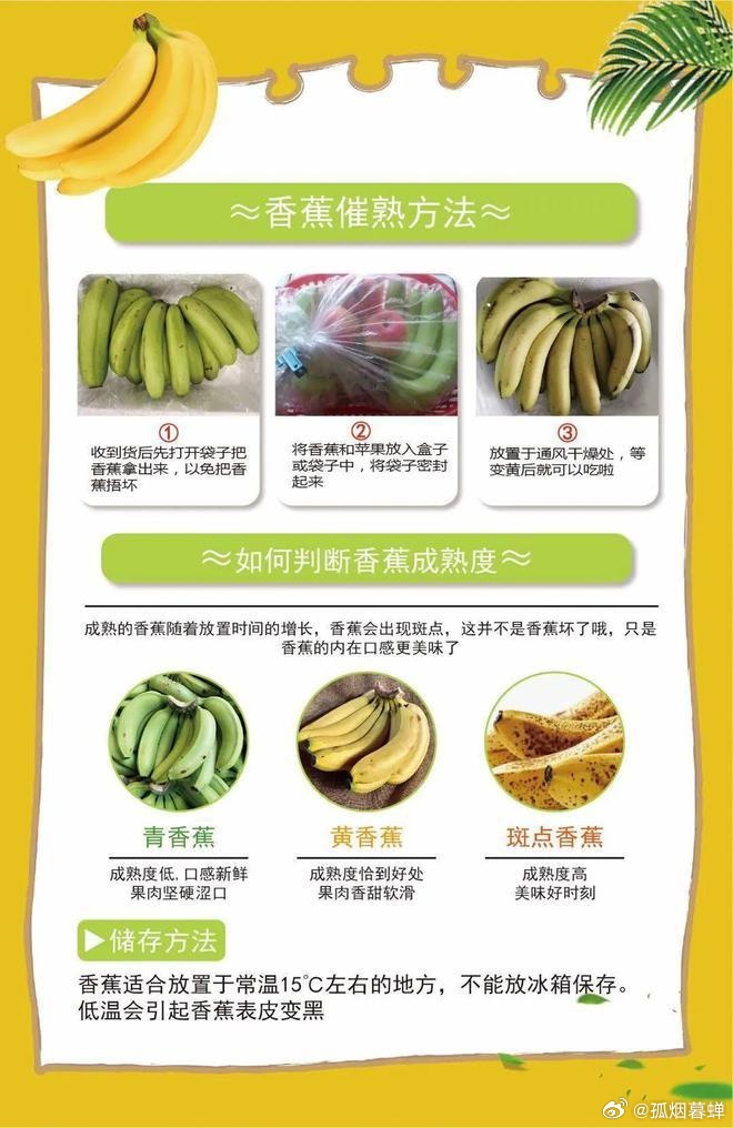 7777精品伊人久久久大香线蕉:01-36-37-43-44-45J：45,探索7777精品伊人系列，深度解读大香线蕉的独特魅力与内涵价值（01-36-37-43-44-45J）