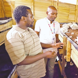 青草国产超碰人人添人人碱:01-12-23-32-40-41S：04,青草国产超碰人人添人人碱，探索新时代下的文化现象与社交模式