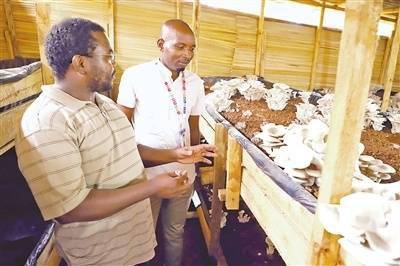 青草国产超碰人人添人人碱:01-12-23-32-40-41S：04,青草国产超碰人人添人人碱，探索新时代下的文化现象与社交模式