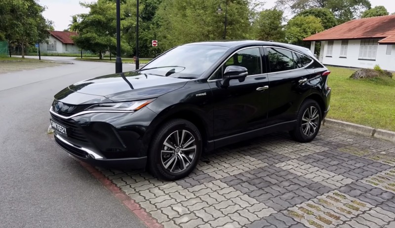 真实国产乱人伦在线视频播放:18-19-29-31-38-43W：40,探索真实国产乱人伦视频，文化与娱乐的交织