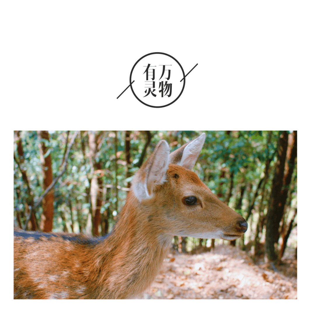 欧美老妇与禽交:02-18-19-24-34-48U：47,欧美老妇与禽交，探索一种文化现象的背后