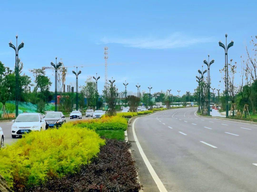 又粗又大又硬毛片免费看:01-14-25-30-31-41Z：13,探索粗硬毛片的世界，免费观看精选系列 01-14-25-30-31-41Z