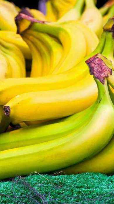 精品香蕉99久久久久成人网站:08-13-19-27-35-37T：09,关于精品香蕉与成人网站的一些探讨