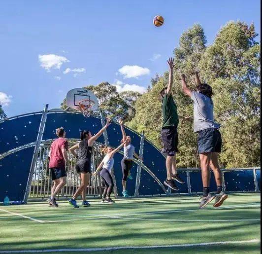 特别黄的视频免费播放:15-17-18-29-31-49Q：48,探索视频领域，特别黄的视频免费播放及热门推荐