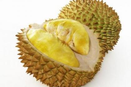 精品久久久久香蕉网:03-18-19-22-39-46T：41,精品久久久久香蕉网，探索数字时代的独特魅力与无限可能