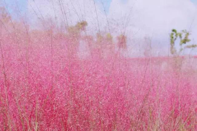 久久国产乱子伦精品免费午夜:17-20-24-30-32-49G：46,久久国产乱子伦精品探索与赏析，免费午夜的独特魅力