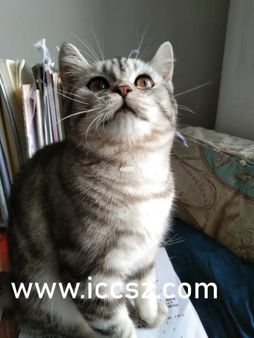 免费高清AV一区二区三区:16-27-33-35-43-48X：38,探索高清娱乐世界，一区至七区免费体验指南