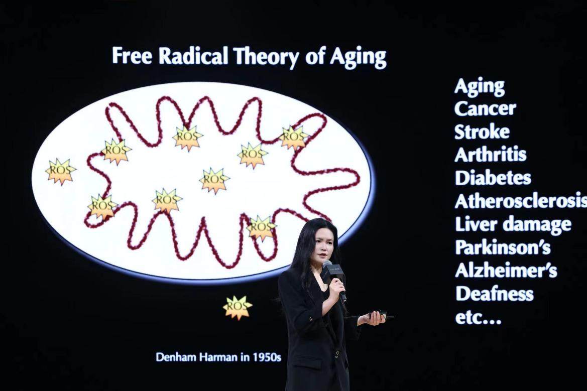 最近中文字幕免费MV在线视频:07-09-14-21-36-44G：28,探索在线视频的新纪元，免费中文字幕MV与数字时代的交融