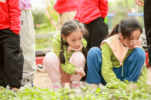 黄瓜视频在线观看:02-09-15-25-29-48W：26,黄瓜视频在线观看，探索视频世界的精彩之旅